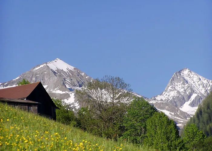 Hubertus מאלניץ